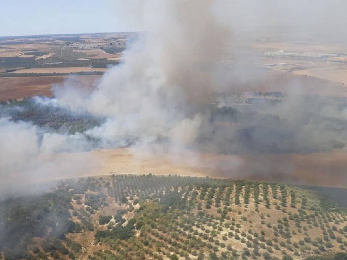 Controlado el incendio del Guadiamar que ha quemado 100 hectáreas
