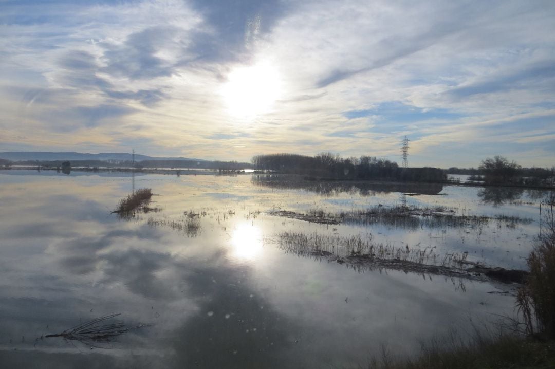 Río Ebro, desbordado, a su paso por Gallur (Zaragoza), en la crecida extraordinaria de 2015