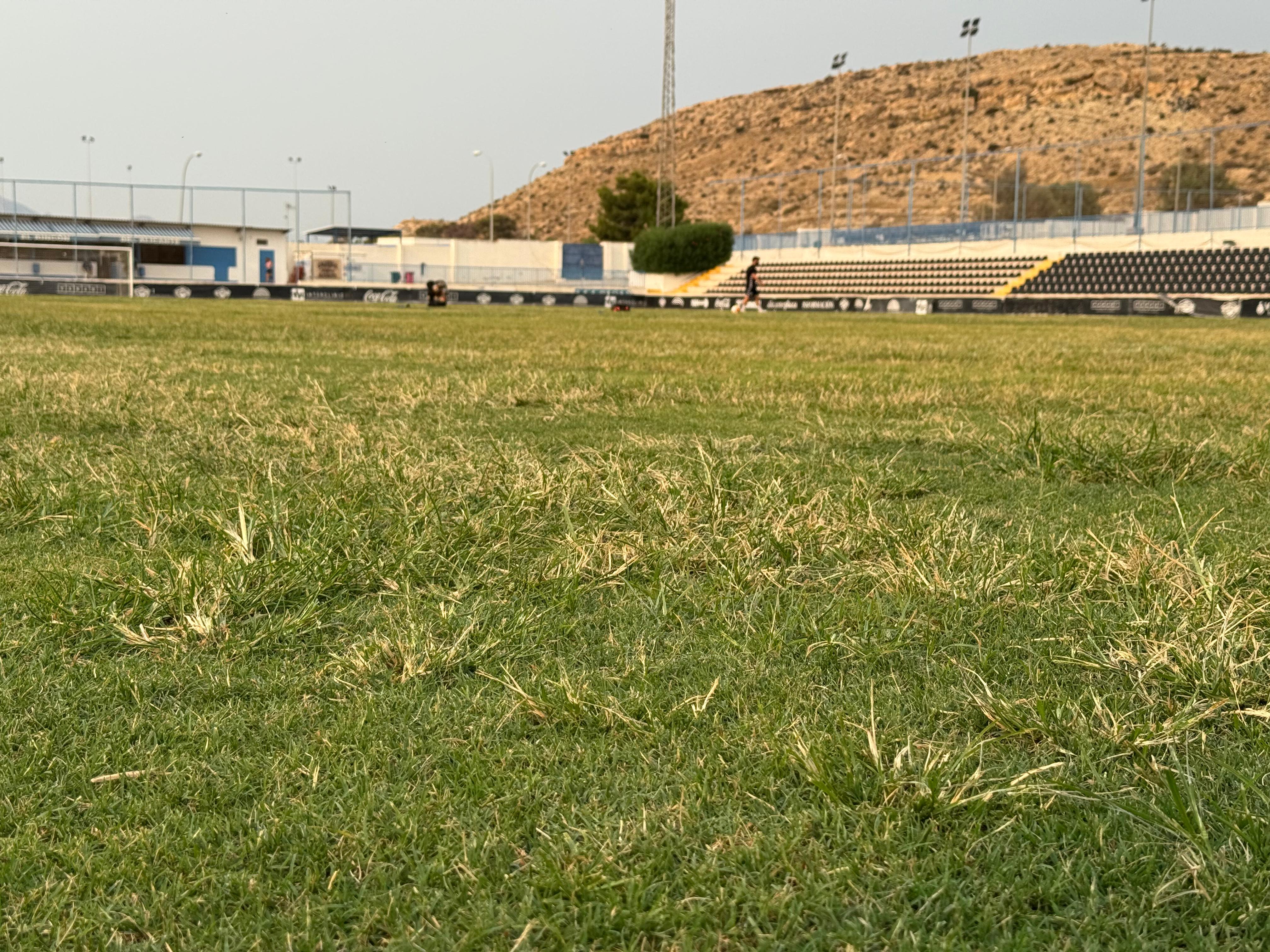 Estado del terreno de juego del Estadio Antonio Solana de Alicante