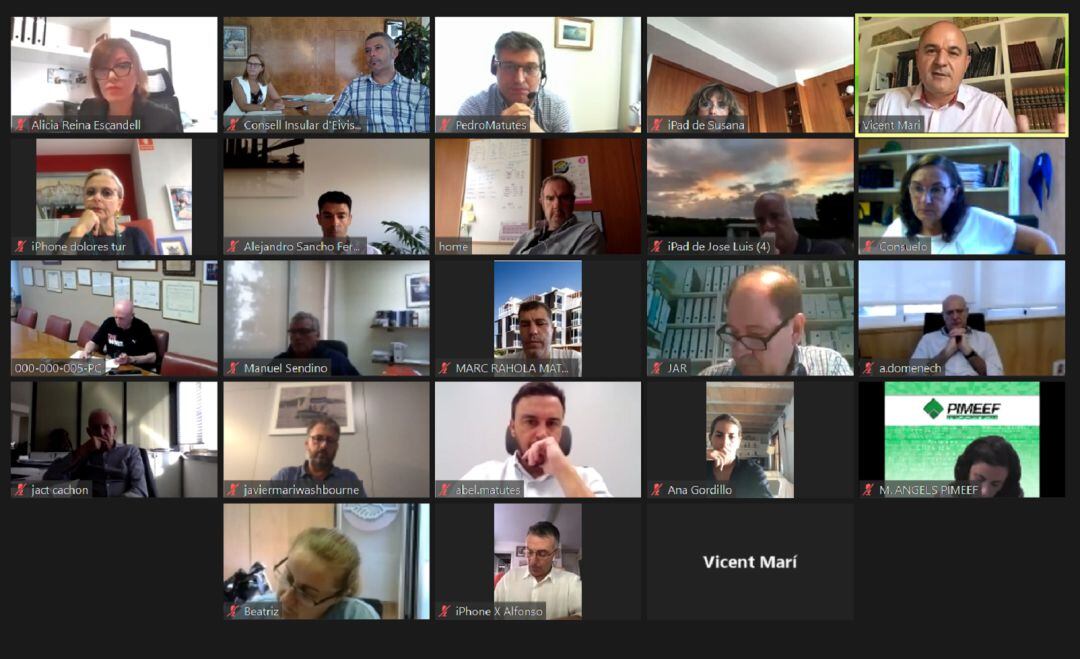 Un momento durante la reunión telemática