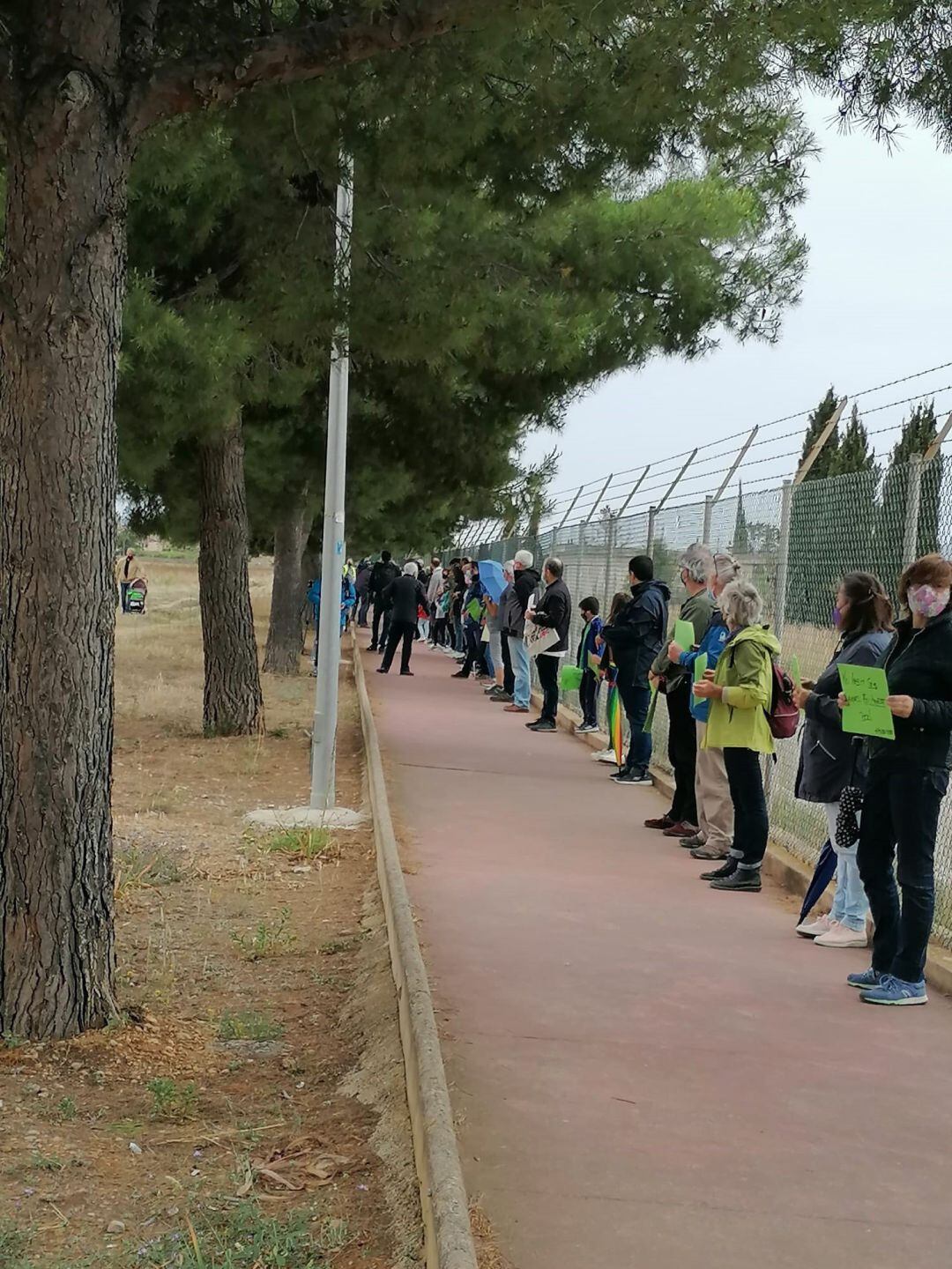 Archivo. Cadena humana por &quot;el pulmón verde&quot; de Son Bonet. 