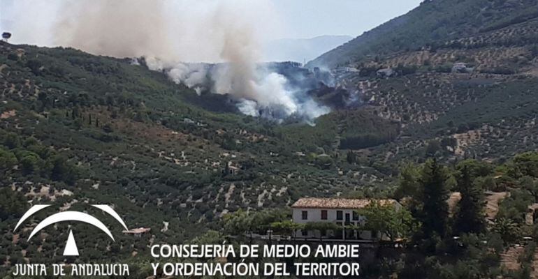 Incendio en la capital, en el Paraje de Jabalcuz, el pasado verano de 2017.