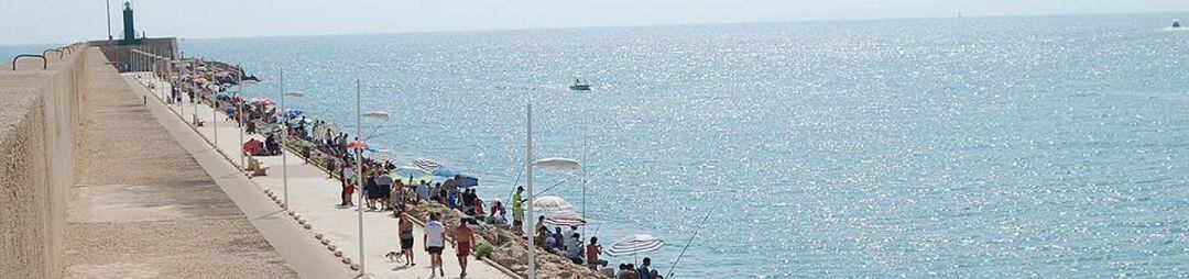 Imagen de archivo de los usuarios del Club de Pesca Deportiva de Gandia