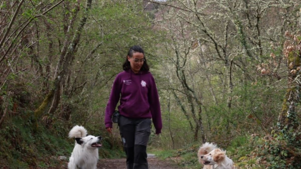 Tamara, educadora canina: ‘Los perros no son robots, son maestros’