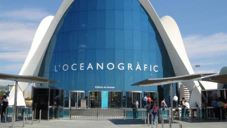 Entrevista a Eduardo Nogués, director general de Avanqua Oceanogràfic