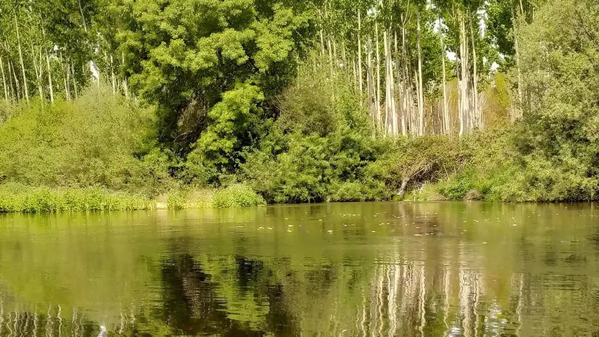 El río Alberche a su paso por Santa Cruz del Retamar