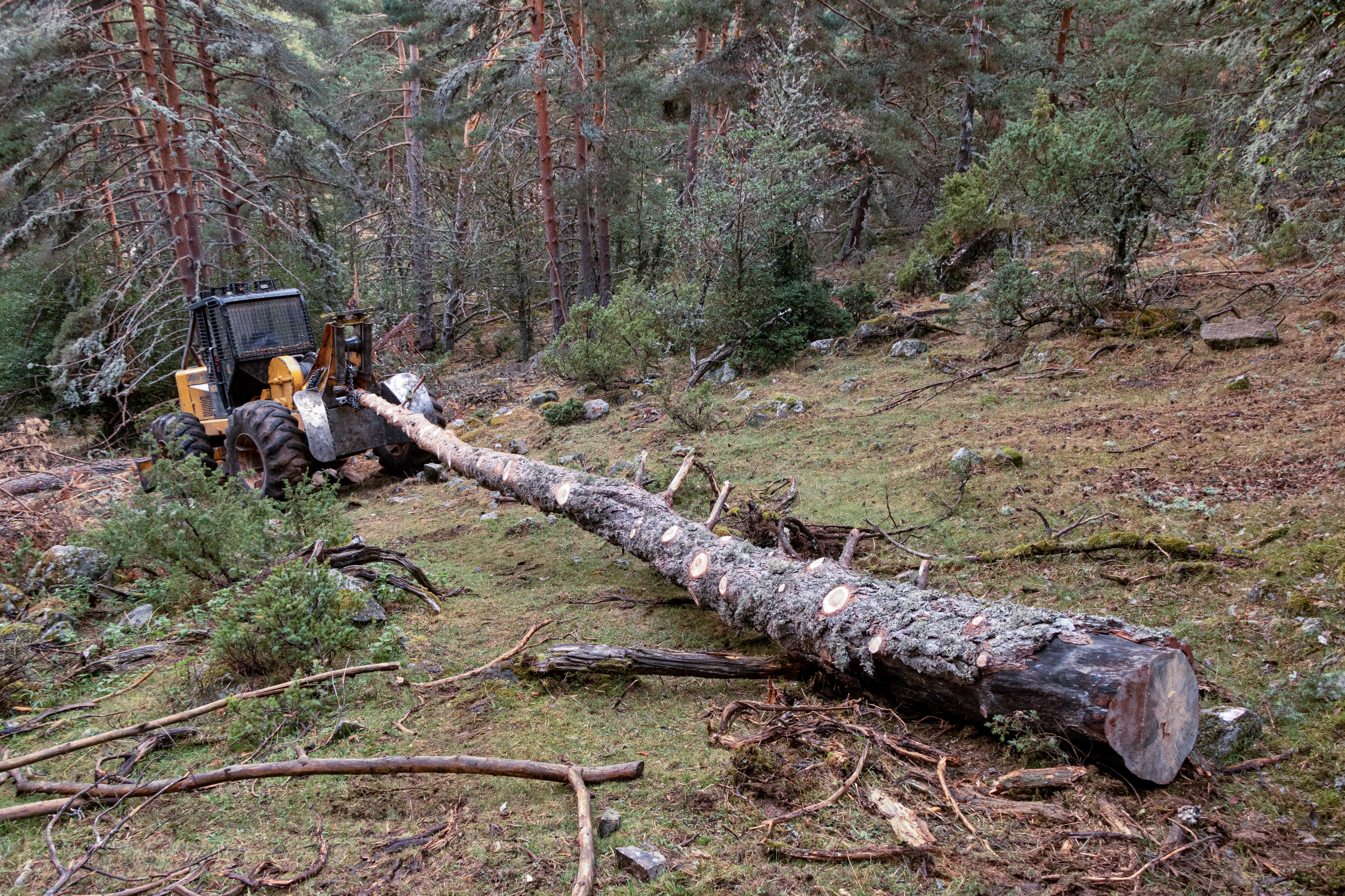 Fallece un trabajador de 60 años en Aulesti (Bizkaia) al sufrir un accidente cuando hacía trabajos forestales