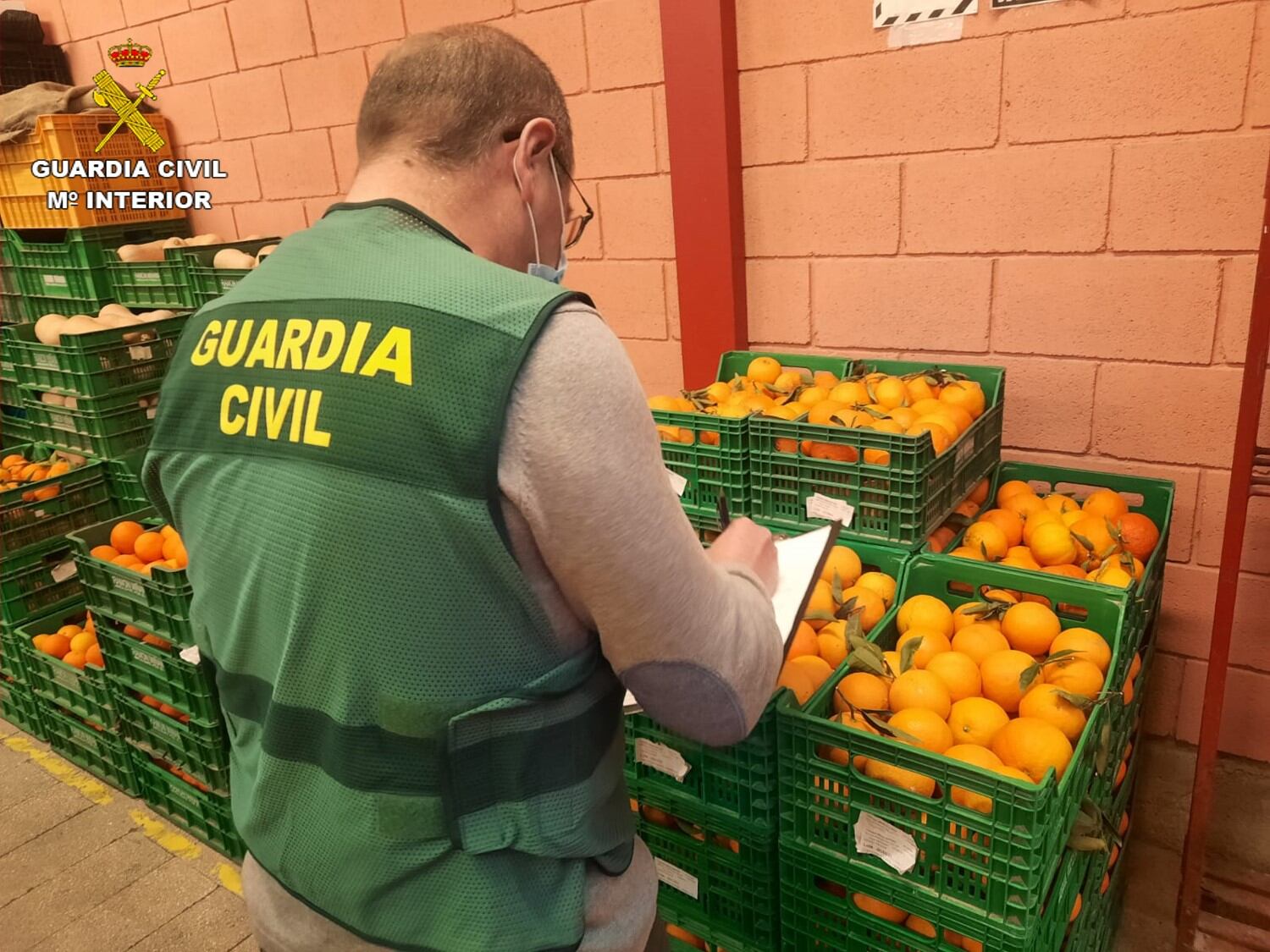 Naranjas intervenidas por parte de la Guardia Civil