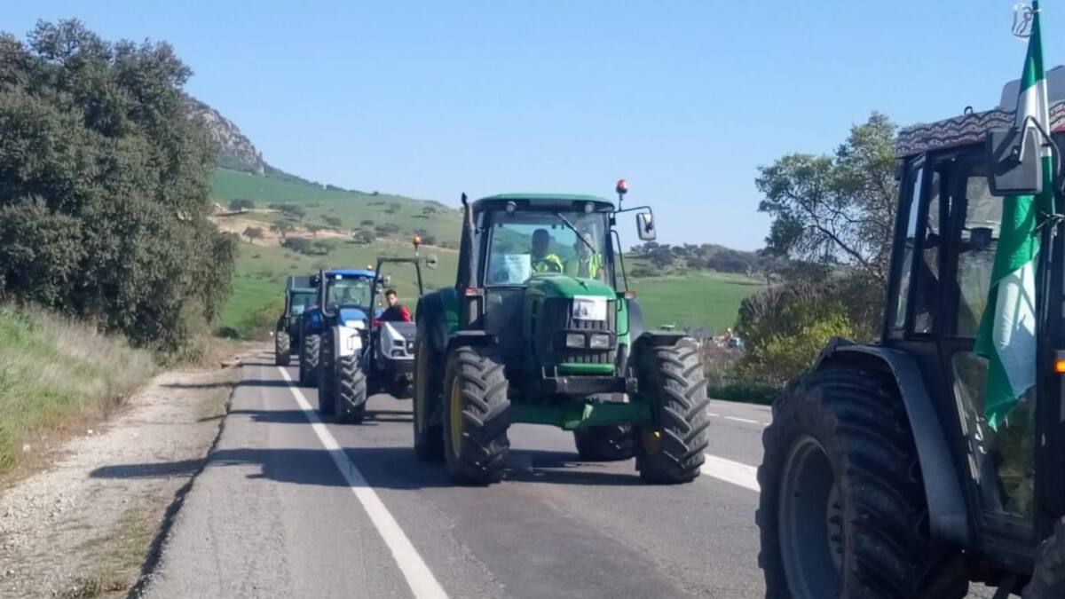Los agricultores retoman este viernes sus protestas con una tractorada en Jerez