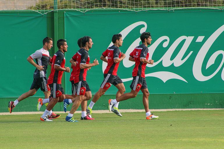 Jugadores del Elche en pleno entrenamiento de pretemporada