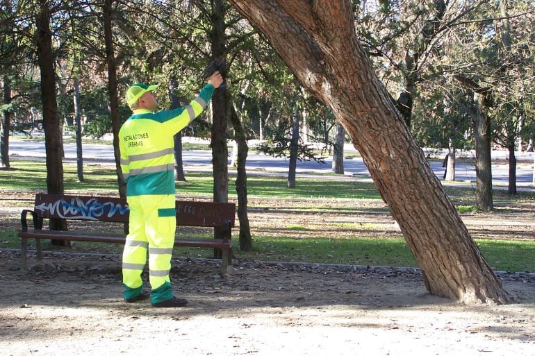 Un operario identifica y recoge los datos sobre el estado del árbol