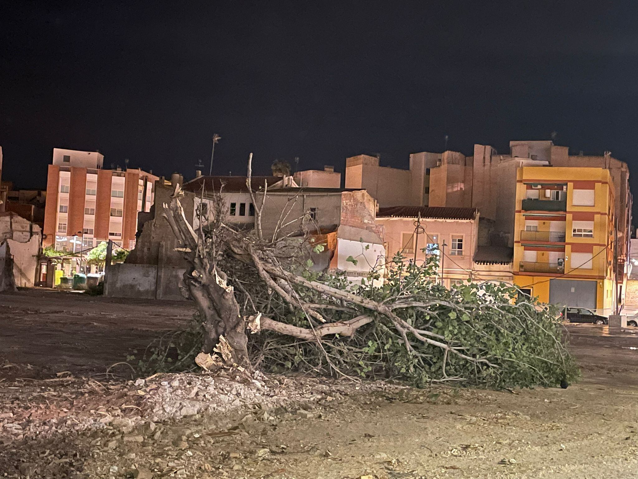 Un equipo del Servicio de Emergencias Municipal retira las ramas de un pino