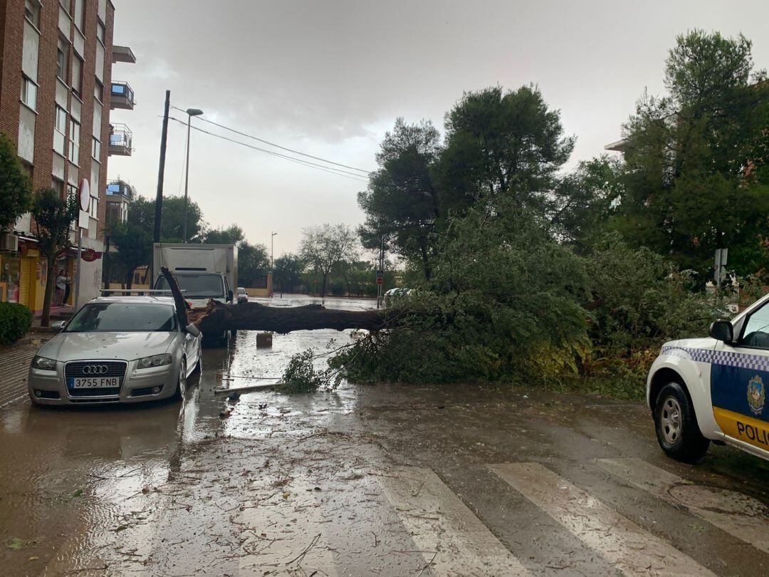 Daños provocados por una tormenta caída en Alcázar.