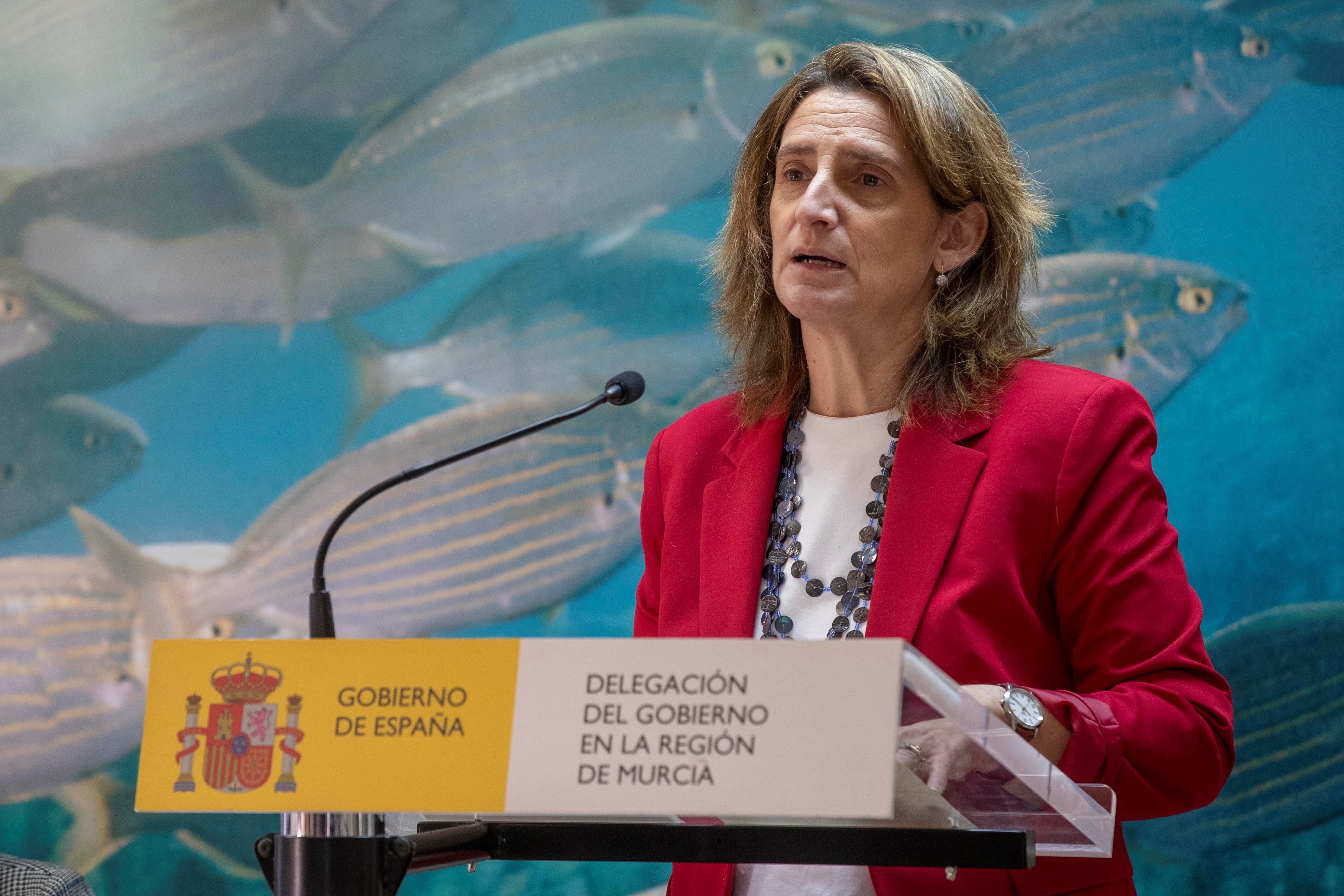 SAN PEDRO DEL PINATAR, (MURCIA), 11/02/2022.- La vicepresidenta y ministra para la Transición Ecológica y el Reto Demográfico, Teresa Ribera, durante la reunión con colectivos, organizaciones sociales y universidades para presentar los avances en el Marco de Actuaciones prioritarias para recuperar el Mar Menor, este viernes en el Instituto Oceanográfico de Murcia en San Pedro del Pinatar. EFE/Marcial Guillén
