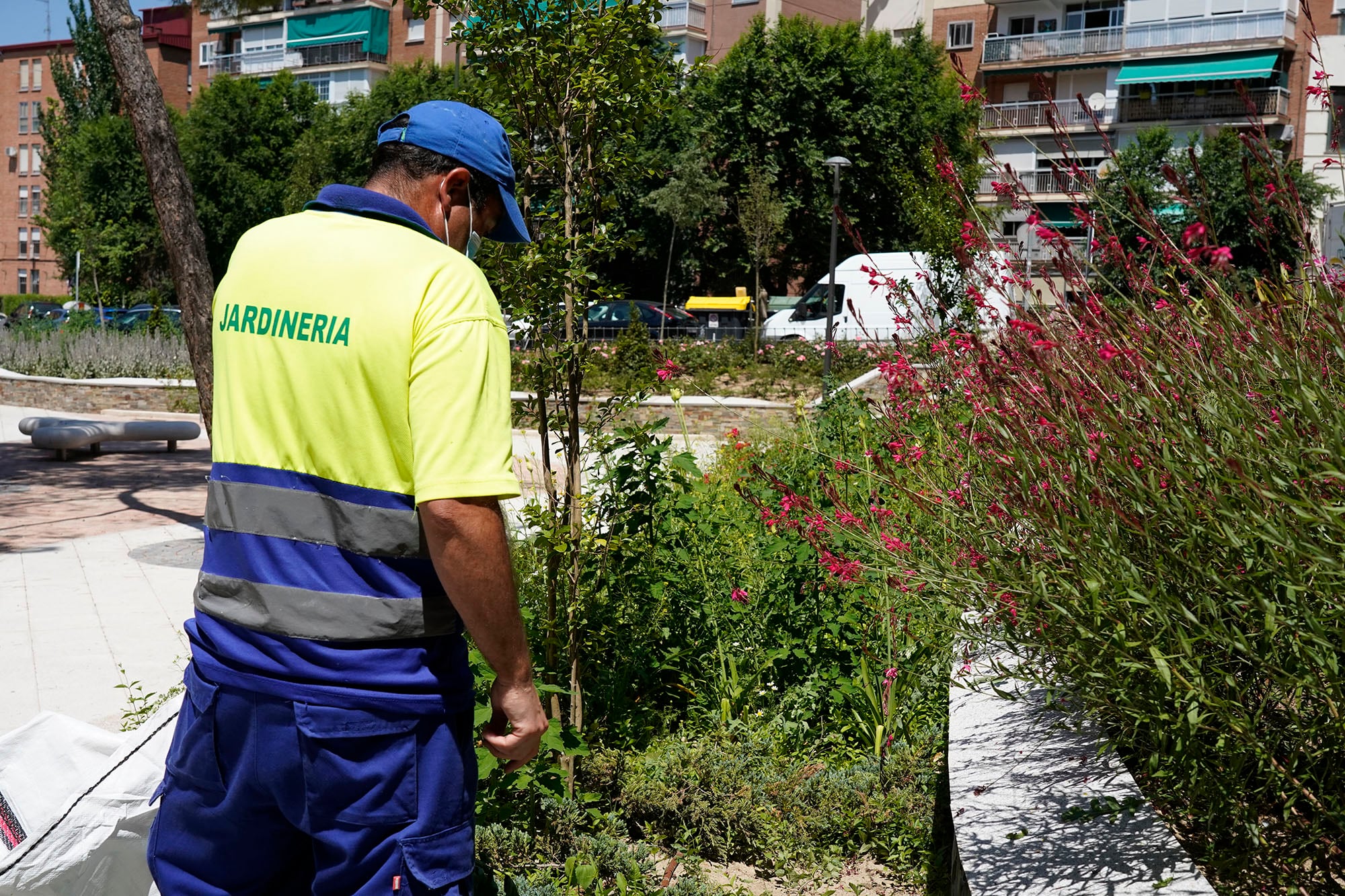 Operario del servicio de parques y jardines de Móstoles