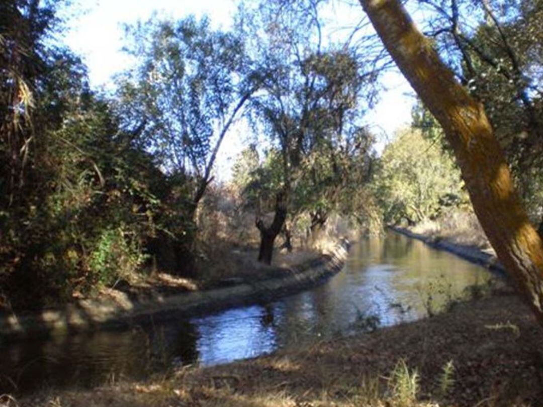 Canal de Riego San José