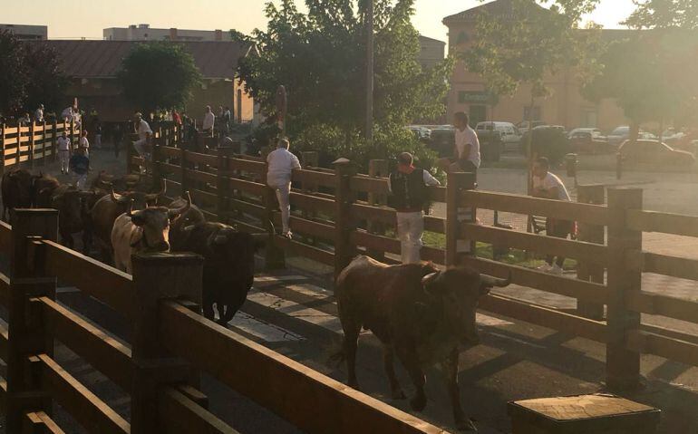 Tercer encierro fiestas de Tudela