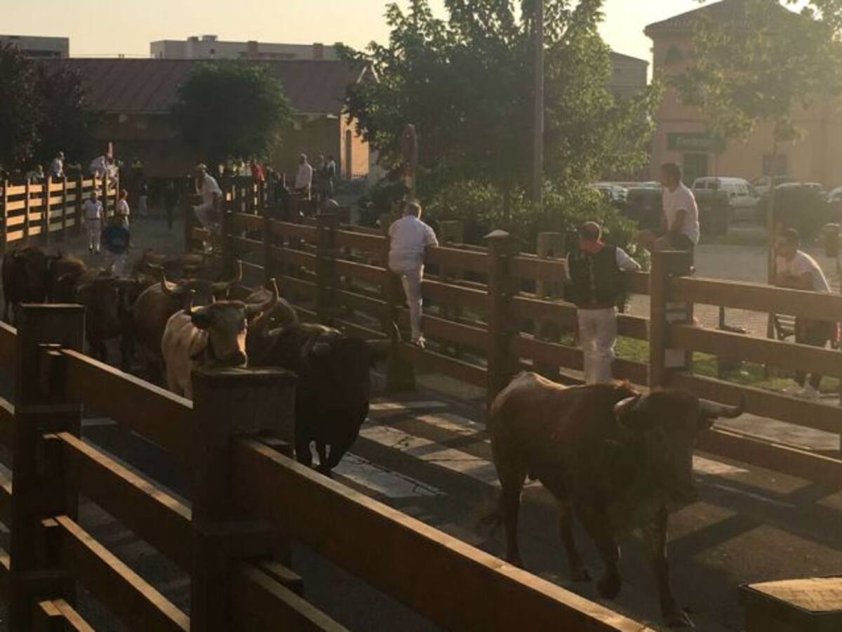 Un corneado en el tercer encierro de Tudela