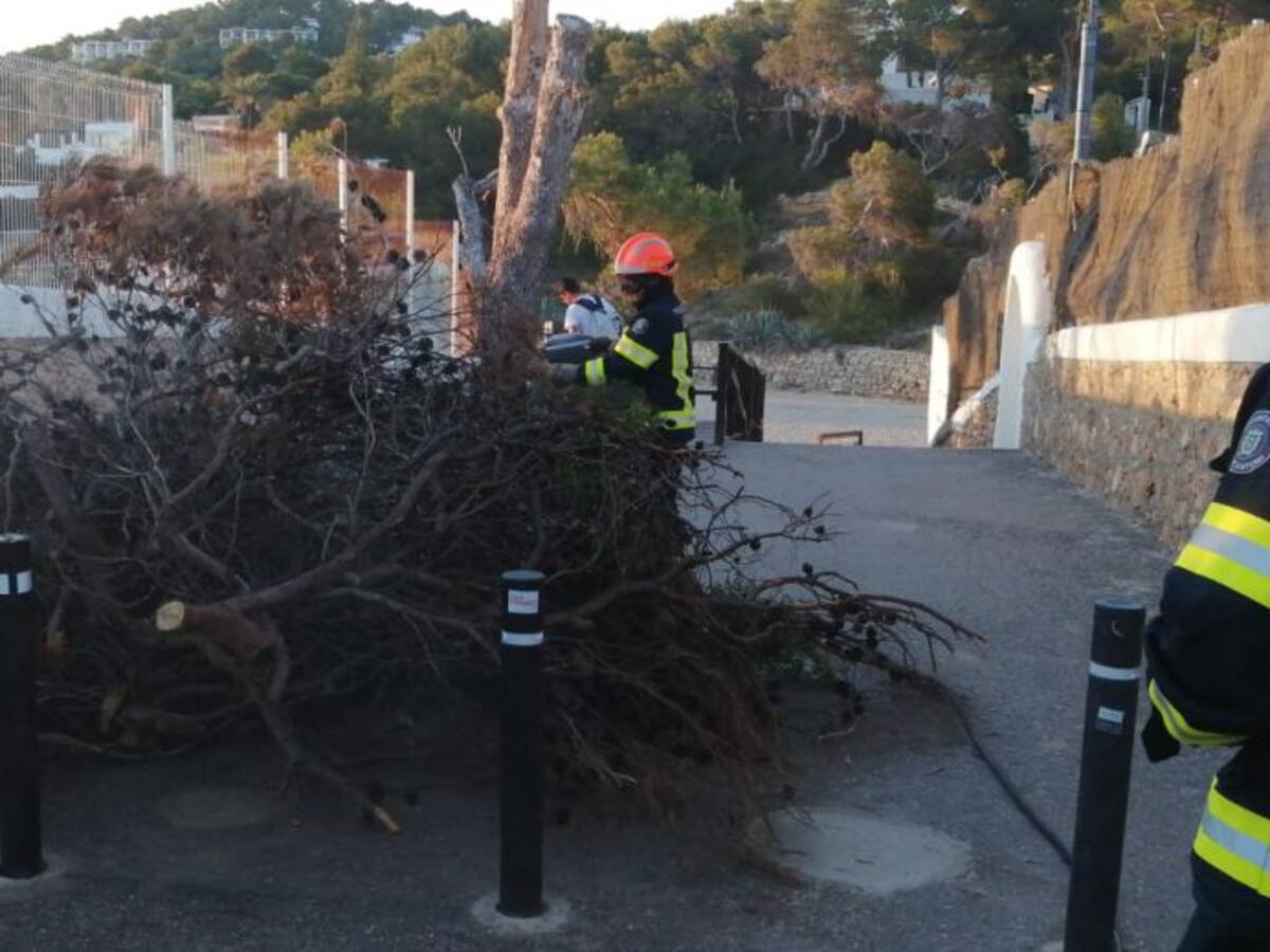 Sant Antoni aborta un posible intento de fiesta en Cala Gració en la noche de Sant Joan