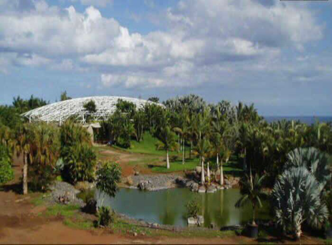 Vista de El Palmetum Santa Cruz de Tenerife