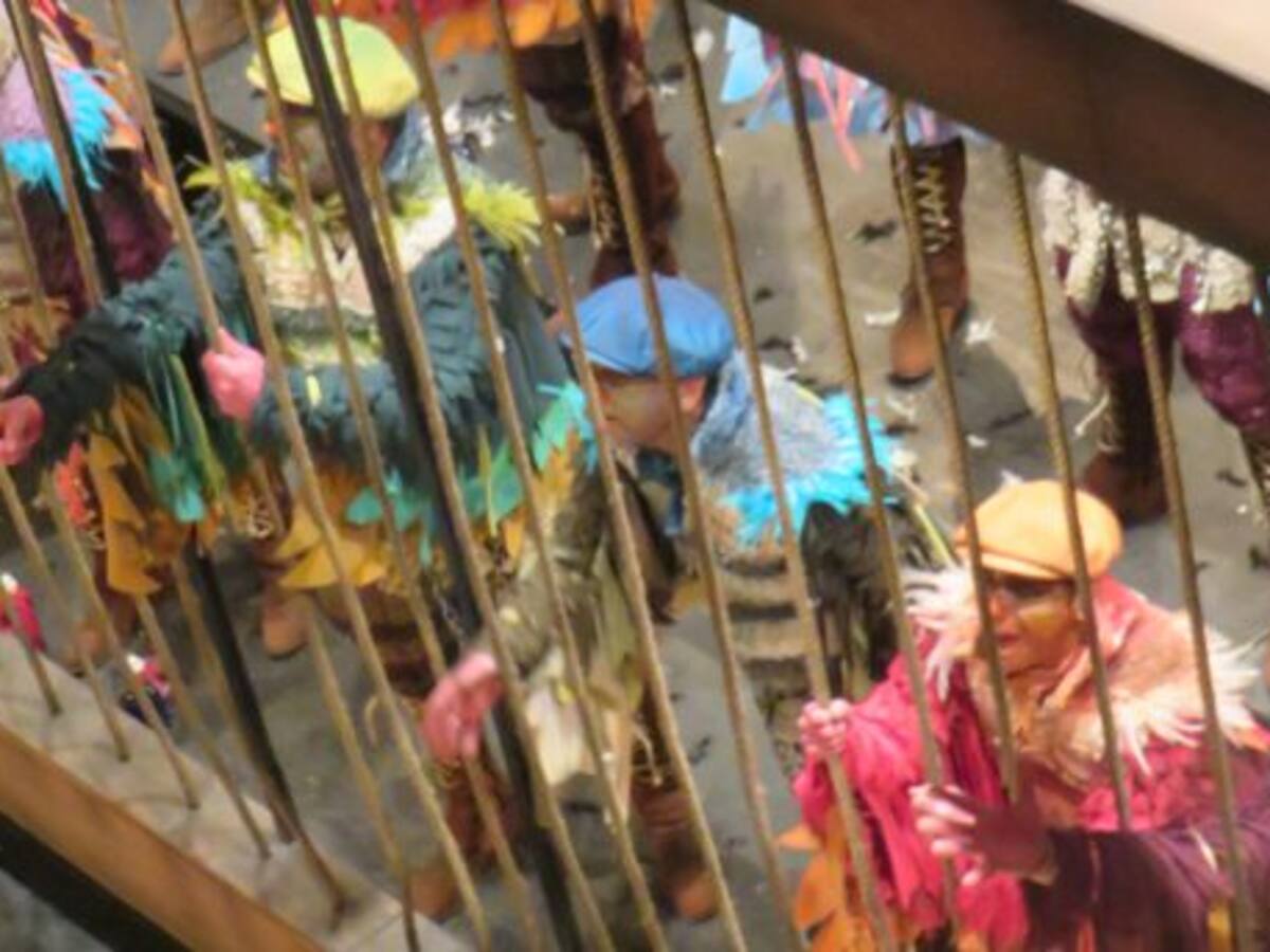 Arrebatador canto de pájaro