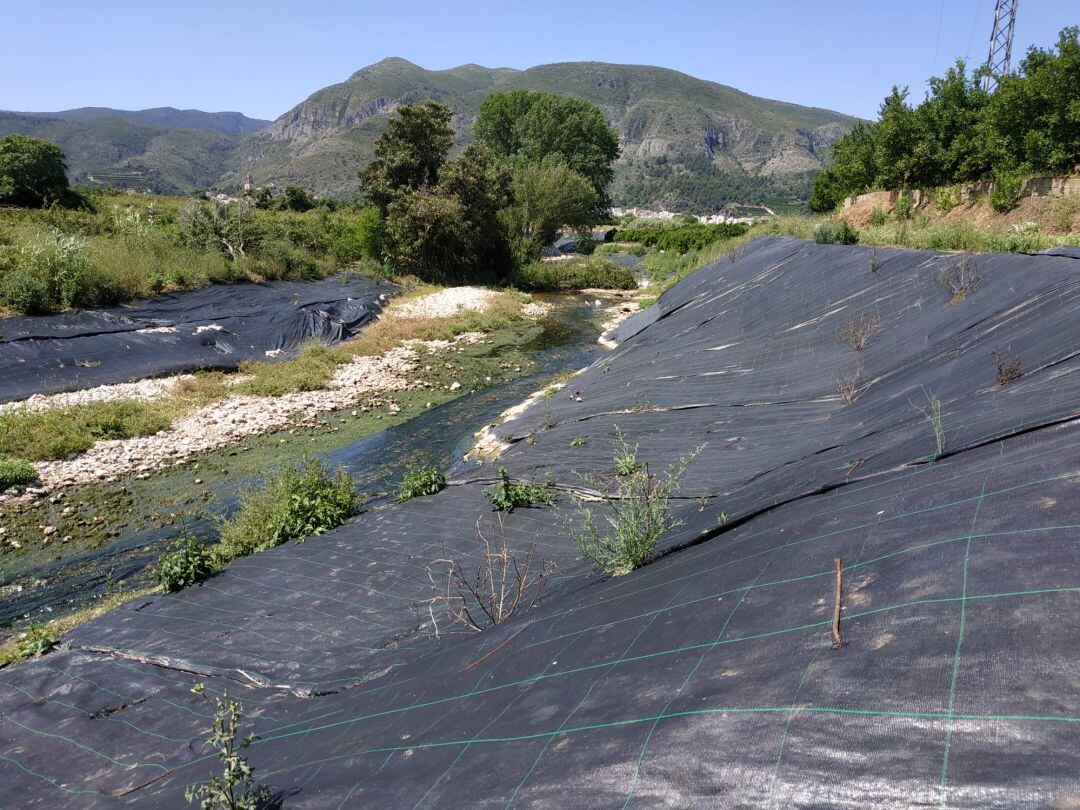 Mantas geotextiles para que no crezcan las cañas en el río Vaca 