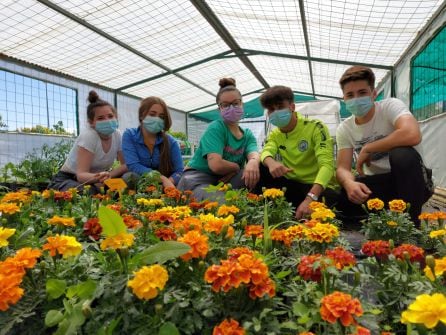 Alumnas y alumnos en los trabajos en el vivero-invernadero