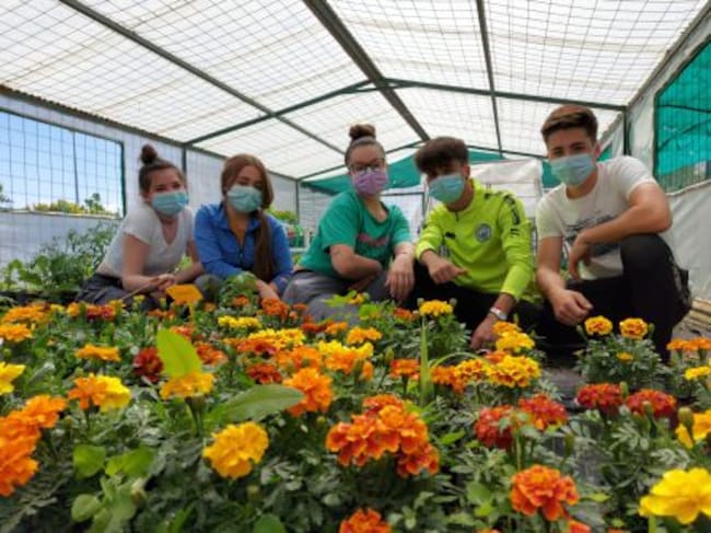Alumnas y alumnos en los trabajos en el vivero-invernadero