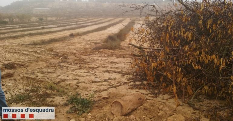 Bomba d’aviació model SD 50 localitzada aquest mes de novembre al municipi de Maials 