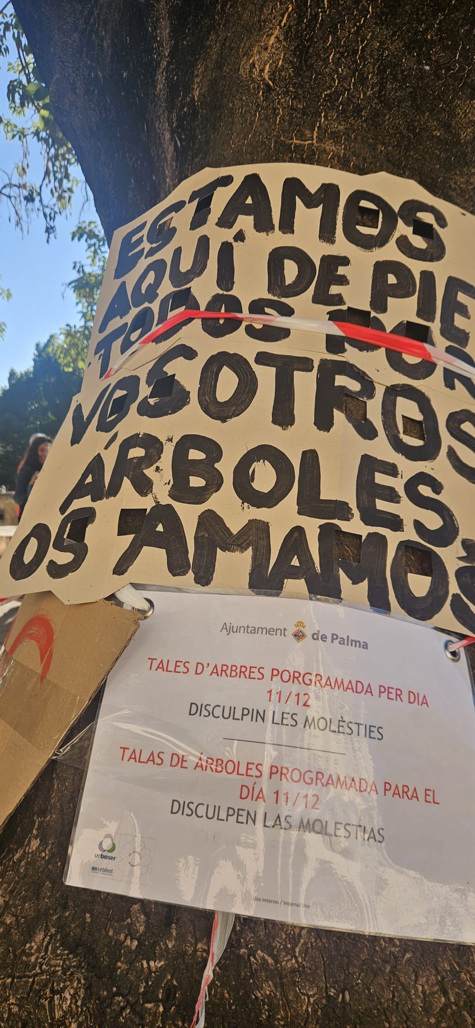 Asociación de Vecinos sa Calatrava