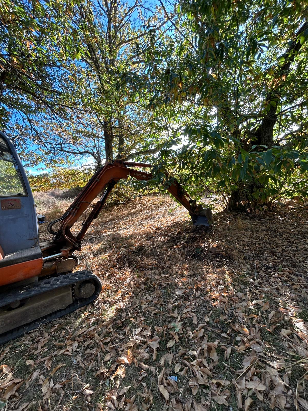 Zona de excavaciones