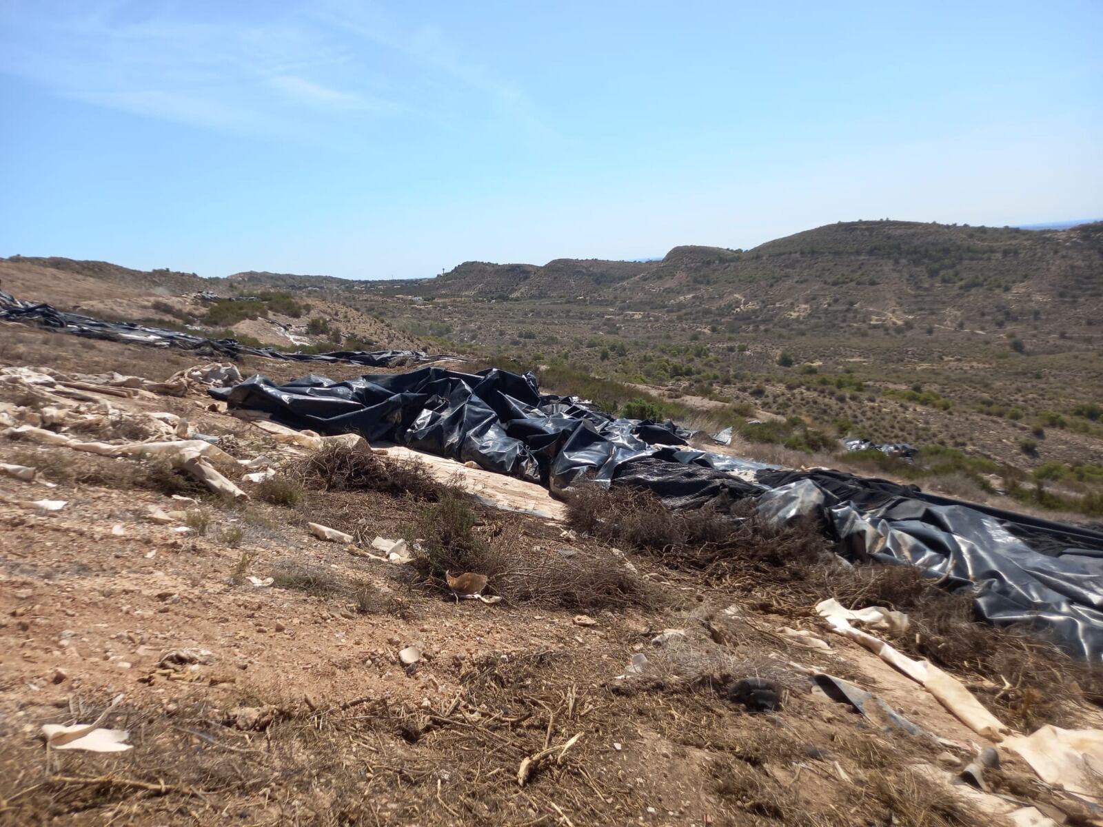 Sellado del Puntal del Búho