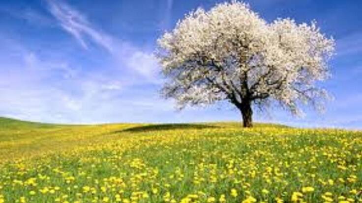 La primavera será más cálida de lo habitual en las Pitiusas y normal en precipitaciones