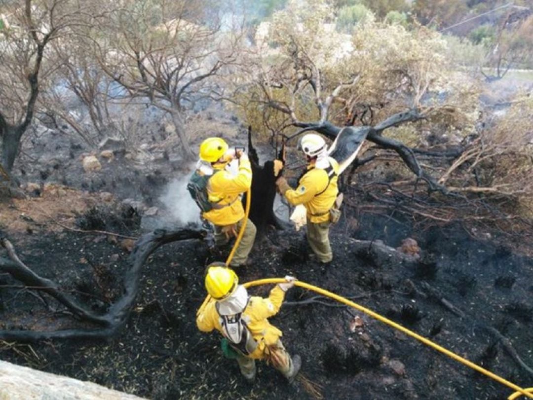 Imagen de archivo de efectivos del Ibanat trabajando en la extinción de un incendio