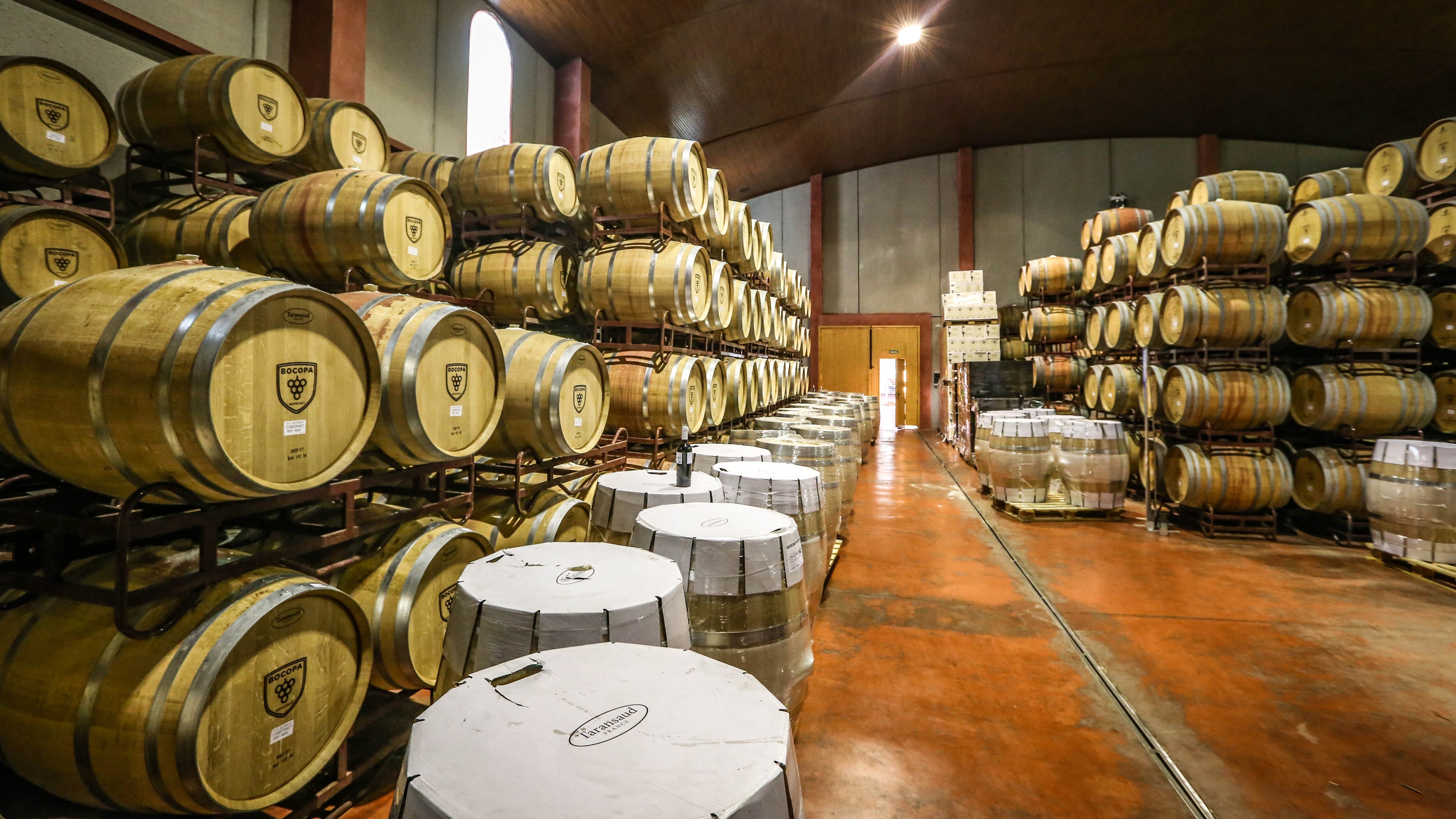 Bodegas Bocopa en Petrer