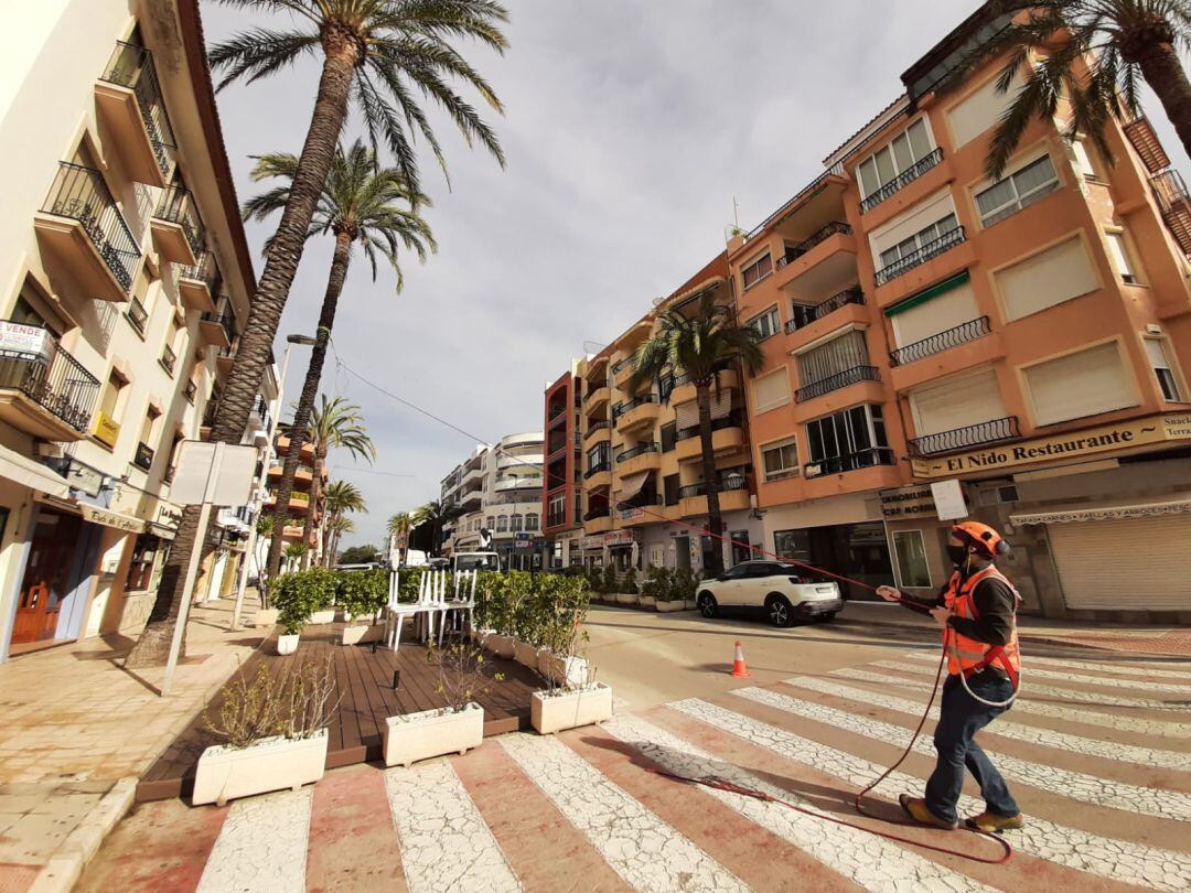 TEUMO testa las palmeras de la Avenida Madrid.