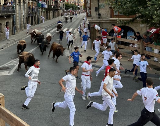 Último encierro de Tafalla 2025 con toros de Ustarroz