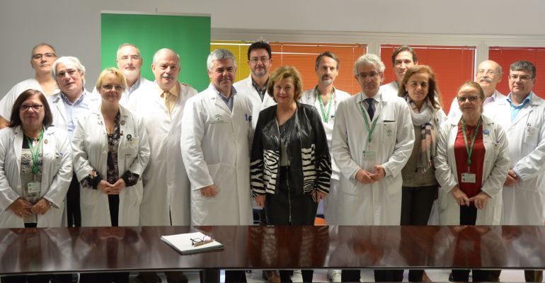 La delegada de Salud, Teresa Vega, junto a José Luis Salcedo, a su derecha y otros profesionales sanitarios que han redactado el plan.