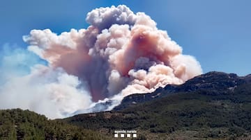 "El humo era muy espeso, casi tapaba el sol": desazón de los vecinos por el incendio