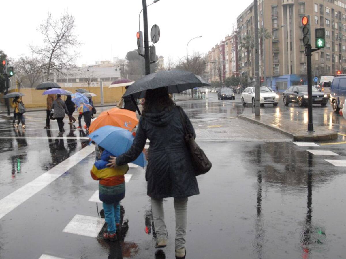 Árboles caídos y túneles anegados: así se vive 'Gloria' en València