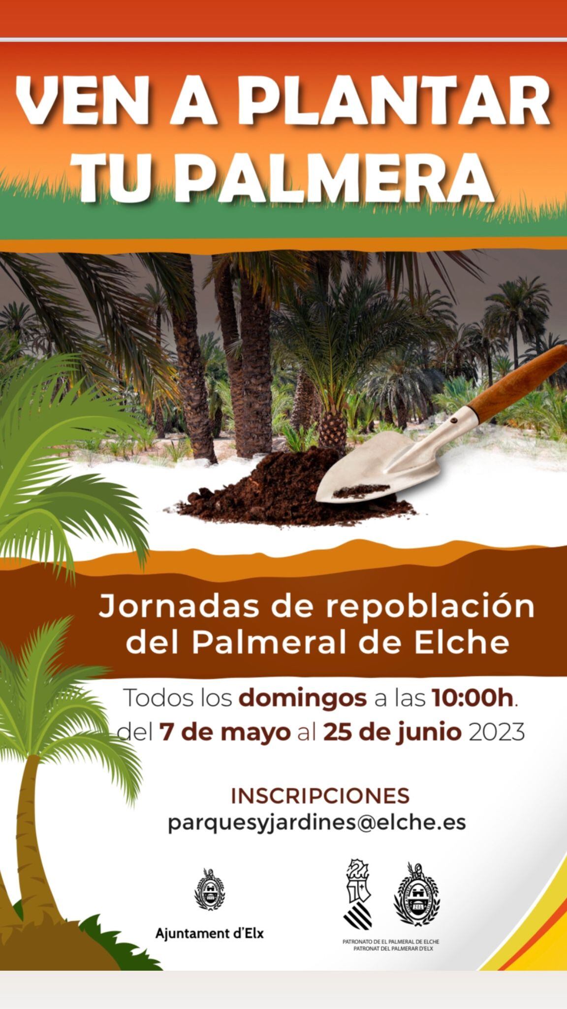 Cartel Jornadas Repoblación Palmeral Elche