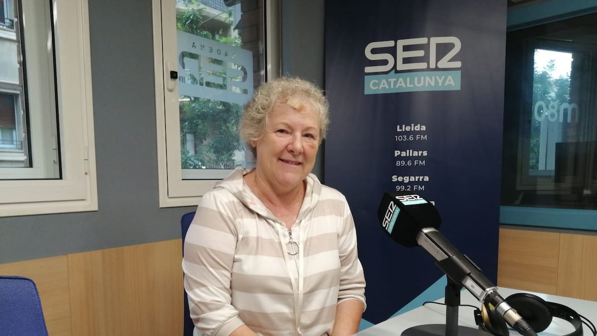 "Cal identificar els gats domèstics perquè si es perden els poguem tornar als propietaris"