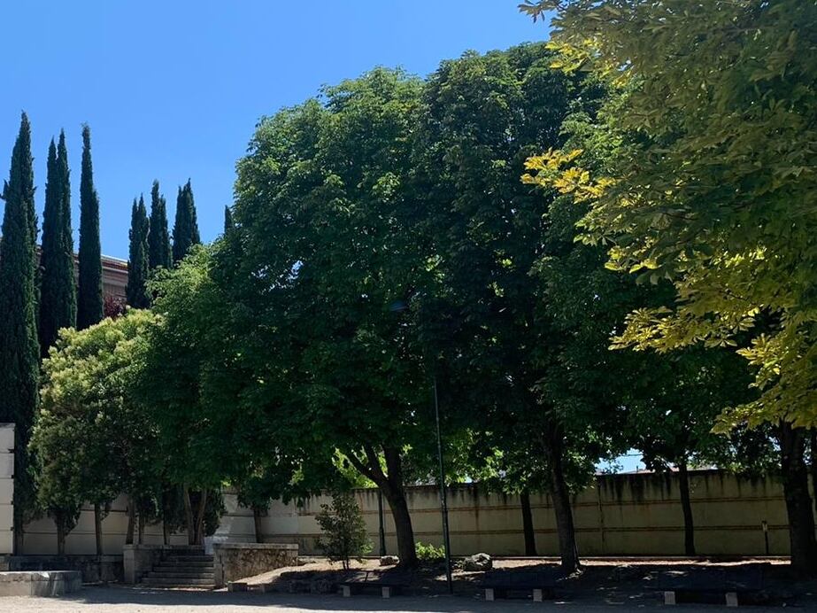 Zona ajardinada de la Huerta de la Alegría de Cuéllar donde actuará el programa mixto