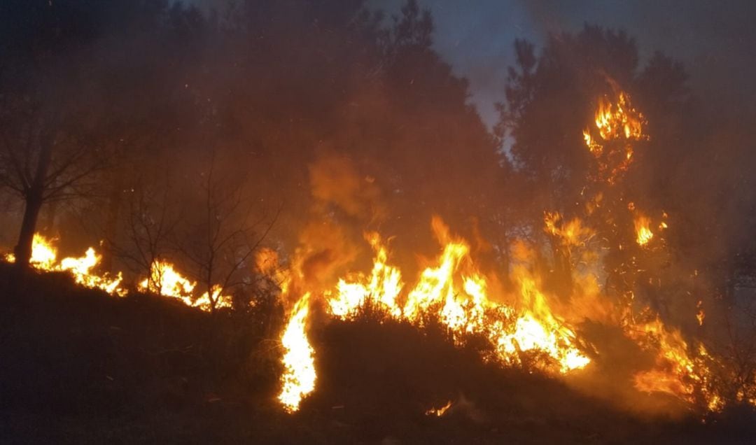 Las investigaciones en marcha determinarán si los incendios han sido provocados. 