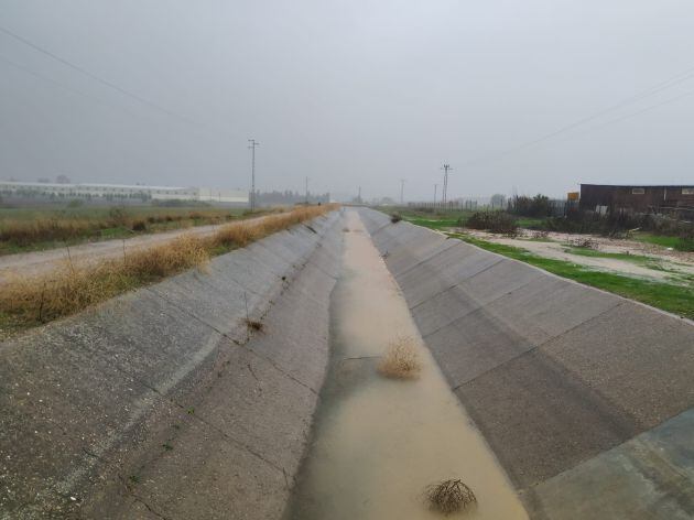 Canal del Guadalmellato, con las naves de Colecor al fondo.