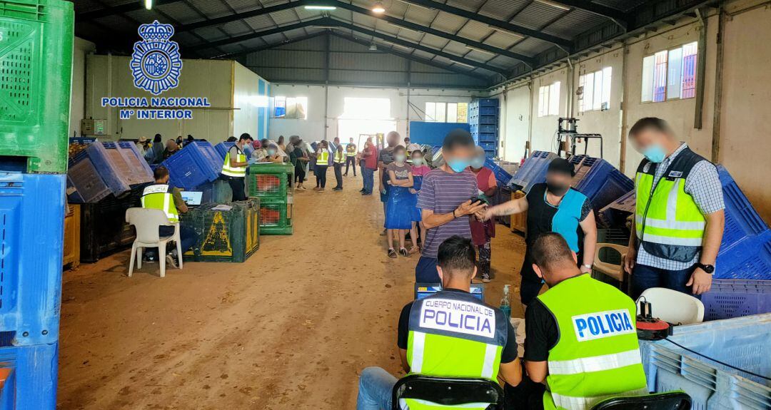 Imagen de la operación policial en la nave agrícola de Cobatillas (Murcia)