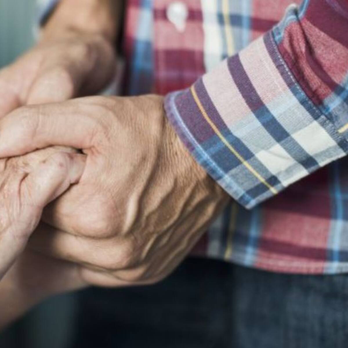 13 años de una ley al borde del colapso