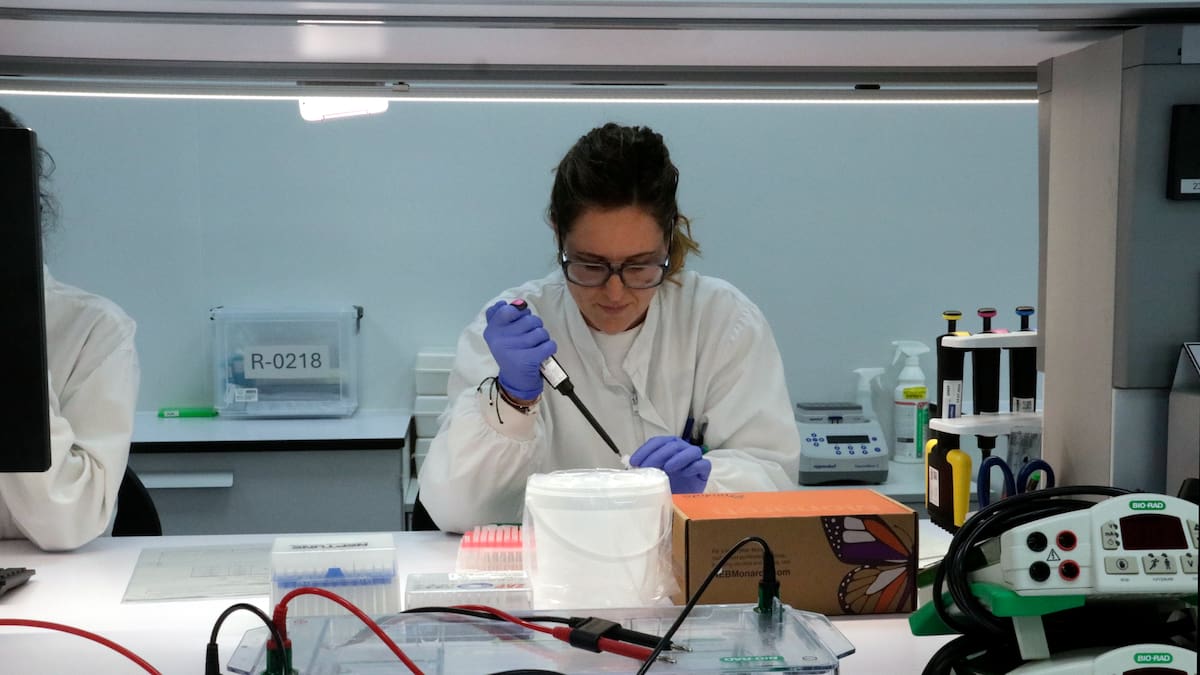 Girona és la demarcació catalana on més ha baixat l'atur aquest 2025