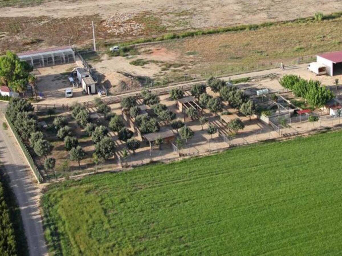 Descubrir animales diferentes en Albalate de Cinca