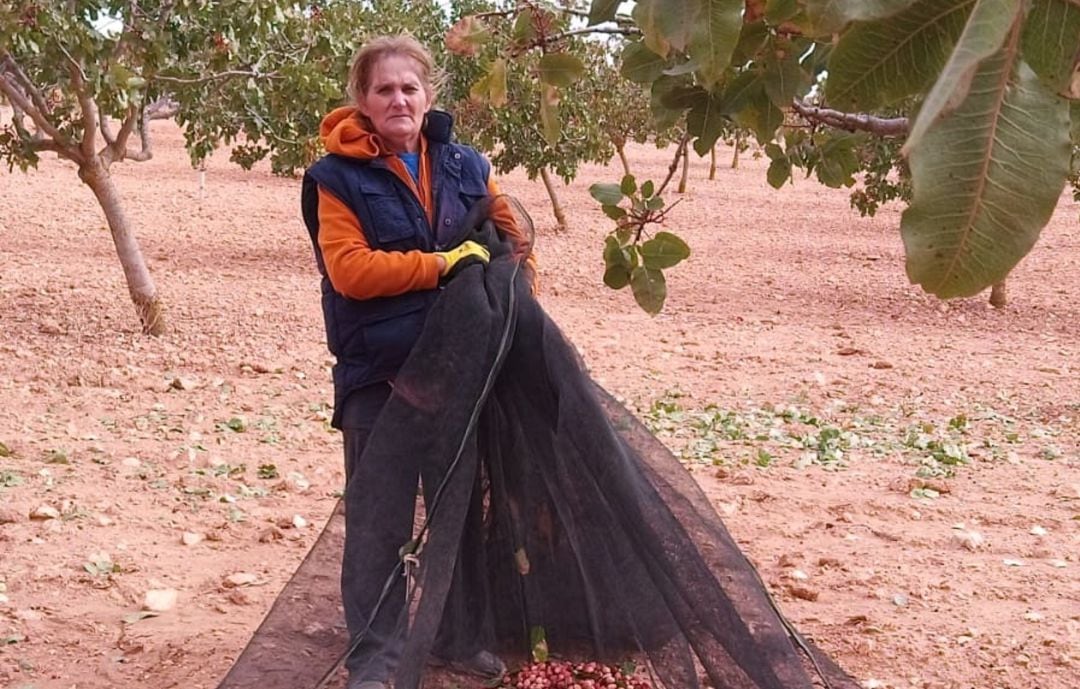 Julia Escudero en las labores de recogida del pistacho.